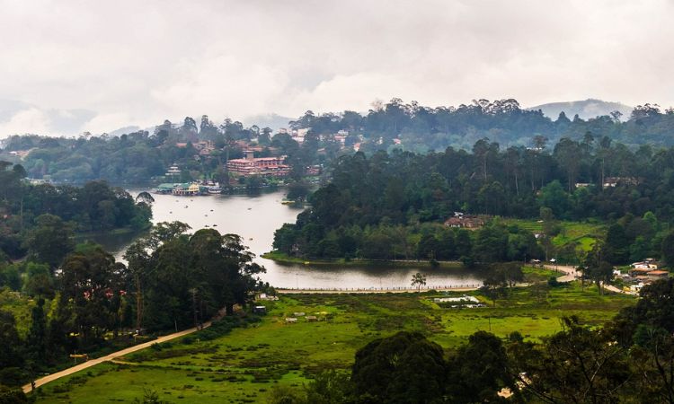 भारत का स्विट्जरलैंड कोडाइकनाल की मज़ेदार जानकारी Interesting facts about Kodaikanal India in Hindi